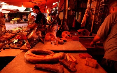 VUCCIRIA anni 90. Fotografie di Giulio Azzarello ©2022. VUCCIRIA anni 90. Fotografie di Giulio Azzarello ©2022.