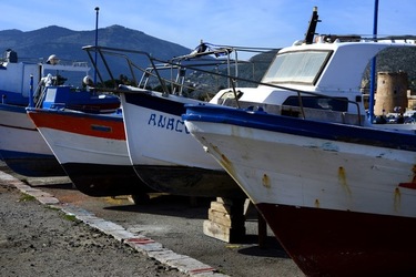 FEBBRAIO Fotografie di Giulio Azzarello &copy;2022.