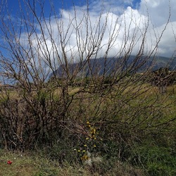 TERRASINI. Fotografie di Giulio Azzarello &copy;2022.