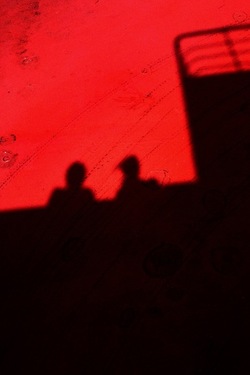 DIGITALIZZAZIONI fotografie di Giulio Azzarello &copy;2020.