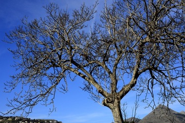 CAMPAGNA fotografie di Giulio Azzarello ©2020.