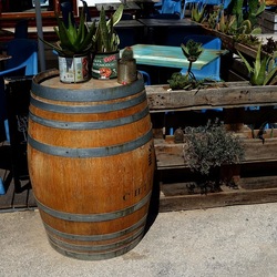 SAN VITO LO CAPO. Fotografie di Giulio Azzarello &copy;2023.