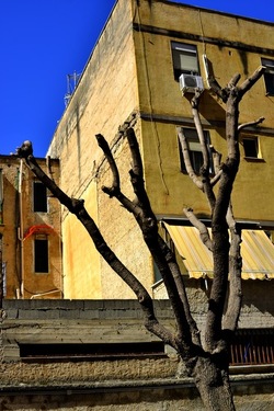 PERIFERIE fotografie di Giulio Azzarello ©2019.