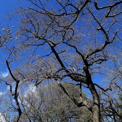 ORTO BOTANICO DI PALERMO. Fotografie di Giulio Azzarello ©2022. ORTO BOTANICO DI PALERMO. Fotografie di Giulio Azzarello ©2022.