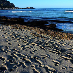MONDELLO di inverno. Fotografie di Giulio Azzarello &copy;2016.