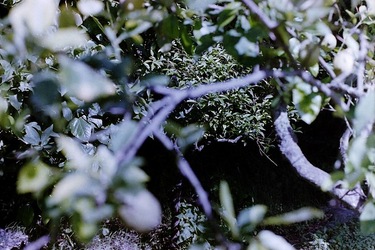 DIGITALIZZAZIONI fotografie di Giulio Azzarello &copy;2020.