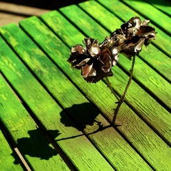 METALLICO. Fotografia di Giulio Azzarello &copy;2023.