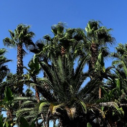 SELINUNTE. Fotografie di Giulio Azzarello ©2022. SELINUNTE. Fotografie di Giulio Azzarello ©2022.