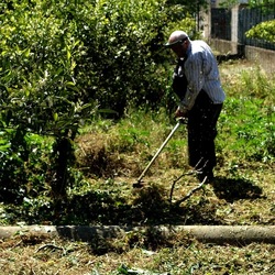 GIARDINO SICILIANO. Fotografie di Giulio Azzarello &copy;2024.