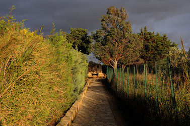 LUIGI PIRANDELLO il parco e la casa museo. Fotografie di Giulio Azzarello ©2014.