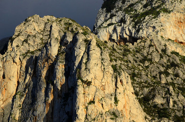 MACCHIA MEDITERRANEA in Sicilia. Fotografie di Giulio Azzarello &copy;2106.