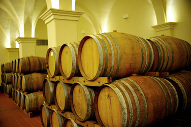 BOTTI per il vino. Fotografie di Giulio Azzarello ©2016. BOTTI per il vino. Fotografie di Giulio Azzarello ©2016.