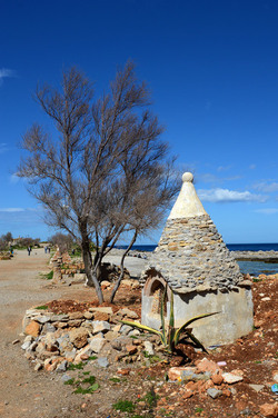 CAPO GALLO riserva marina e naturalistica a Palermo panoramiche e particolari. Fotografie di Giulio Azzarello ©2014. CAPO GALLO riserva marina e naturalistica a Palermo panoramiche e particolari. Fotografie di Giulio Azzarello ©2014.