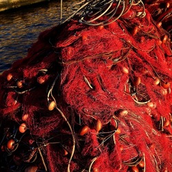 RETI DA PESCA. Fotografie di Giulio Azzarello &copy;2022.