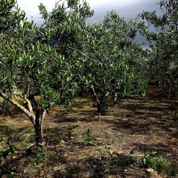 CAMMINANDO. Fotografie di Giulio Azzarello &copy;2024.