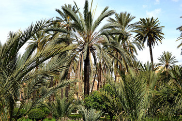 VILLA BONANNO a Palermo. Fotografie di Giulio Azzarello &copy;2016.