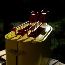 TOAST. Fotografie di Giulio Azzarello &copy;2025.