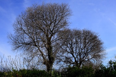 CAMPAGNA fotografie di Giulio Azzarello ©2020.