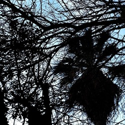 INVERNO. Fotografie di Giulio Azzarello &copy;2023.