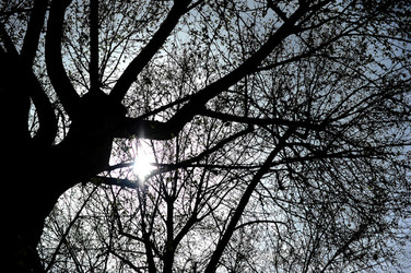 VILLA BONANNO a Palermo. Fotografie di Giulio Azzarello &copy;2016.