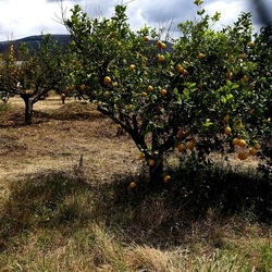 CAMMINANDO. Fotografie di Giulio Azzarello &copy;2024.