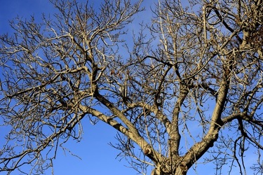 CAMPAGNA fotografie di Giulio Azzarello ©2020.