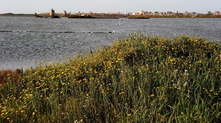 LE SALINE di Trapani in Sicilia. Fotografie di Giulio Azzarello ©2014. LE SALINE di Trapani in Sicilia. Fotografie di Giulio Azzarello ©2014.