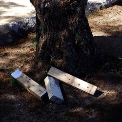 MONDELLO fotografie di Giulio Azzarello ©2021. MONDELLO fotografie di Giulio Azzarello ©2021.