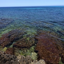 BAIA DEL CORALLO. Fotografie di Giulio Azzarello &copy;2022.
