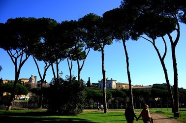 PARCO ARCHEOLOGICO DEL PALATINO Roma. Fotografie di Giulio Azzarello ©2020.