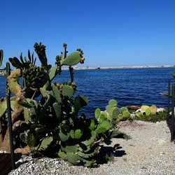 PALERMO. Fotografie di Giulio Azzarello ©2022. PALERMO. Fotografie di Giulio Azzarello ©2022.
