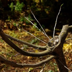 GIARDINO SICILIANO. Fotografie di Giulio Azzarello &copy;2024.
