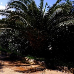 MONDELLO fotografie di Giulio Azzarello ©2021. MONDELLO fotografie di Giulio Azzarello ©2021.