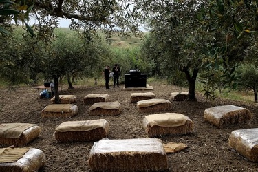 ULIVETO SICILIANO. Fotografie di Giulio Azzarello ©2022.