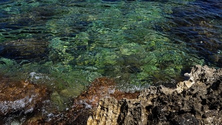 BAIA DEL CORALLO. Fotografie di Giulio Azzarello &copy;2022.