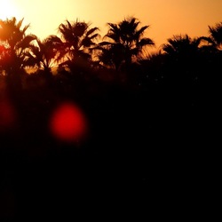 SELINUNTE. Fotografie di Giulio Azzarello ©2022. SELINUNTE. Fotografie di Giulio Azzarello ©2022.