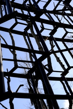 VENEZIA installazione lignea Giardini della Biennale di Arch. Cont. Fotografie di Giulio Azzarello &copy;2022.