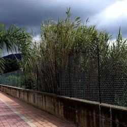 CAMMINANDO. Fotografie di Giulio Azzarello &copy;2024.