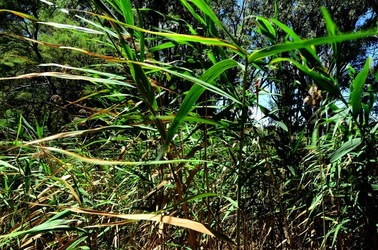 SELINUNTE sito archeologico. Fotografie di Giulio Azzarello ©2018. SELINUNTE sito archeologico. Fotografie di Giulio Azzarello ©2018.