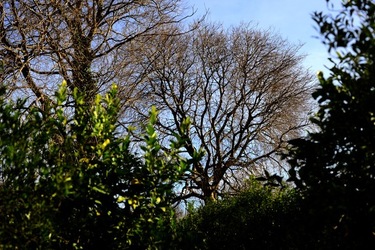 CAMPAGNA fotografie di Giulio Azzarello ©2020.