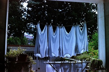 DIGITALIZZAZIONI fotografie di Giulio Azzarello &copy;2020.