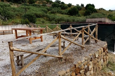 ULIVETO SICILIANO. Fotografie di Giulio Azzarello ©2022.