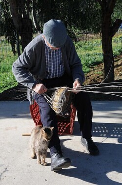 CESTO tipico tradizionale siciliano impagliato. Fotografie di Giulio Azzarello &copy;2014.