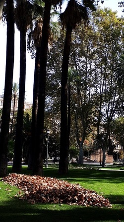 ROMA fotografie di Giulio Azzarello &copy;2022.