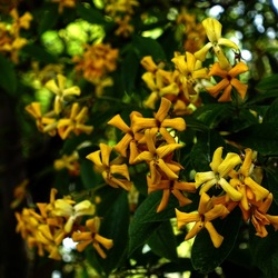 ORTO BOTANICO. Fotografie di Giulio Azzarello &copy;2024.