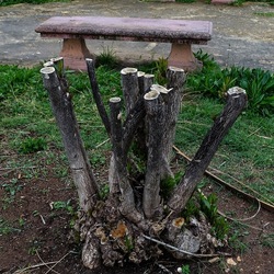 TRONCHI. Fotografie di Giulio Azzarello ©2022.