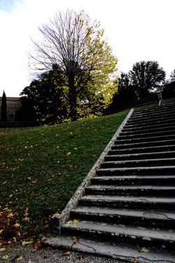 FIRENZE PALAZZO PITTI e GIARDINO DI BOBOLI. Fotografie di Giulio Azzarello &copy;2022.
