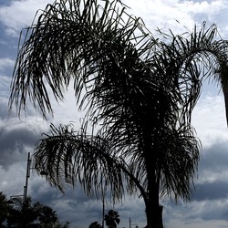 CAMMINANDO. Fotografie di Giulio Azzarello &copy;2024.