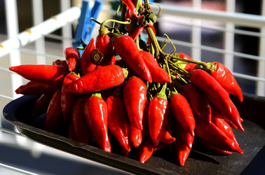 PEPERONCINO fotografie di Giulio Azzarello ©2014. PEPERONCINO fotografie di Giulio Azzarello ©2014.