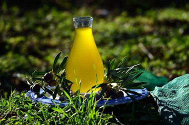 ULIVETO in autunno. Fotografie di Giulio Azzarello ©2014. ULIVETO in autunno. Fotografie di Giulio Azzarello ©2014.